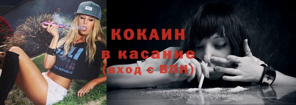 прущие грибы Аркадак