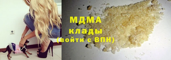прущие грибы Аркадак