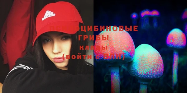 амф Арсеньев