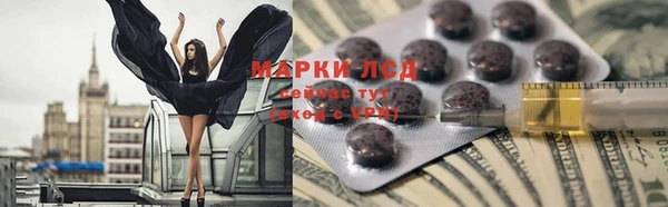прущие грибы Аркадак