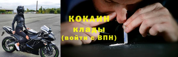 амф Арсеньев