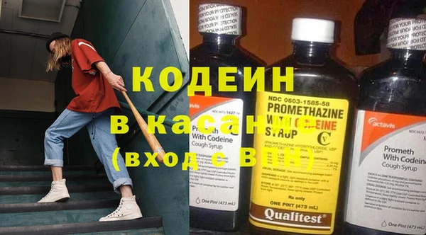 прущие грибы Аркадак