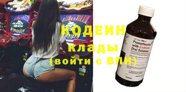 прущие грибы Аркадак