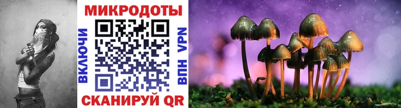 Псилоцибиновые грибы GOLDEN TEACHER  Купить закладки  Уяр 